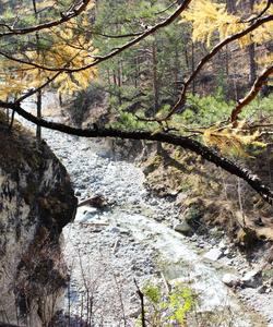 Горная река на Байкале