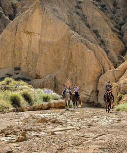 Конная прогулка 