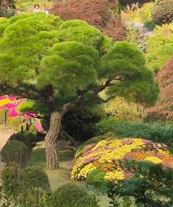 Остров Нами и сад утреннего спокойствия