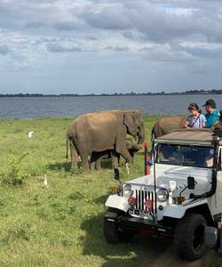 Сафари на Шри-Ланке