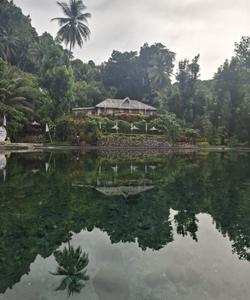 Местный пейзаж 