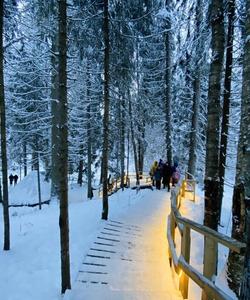 Экотропа в Сортавале