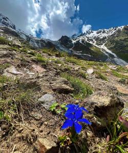 Тур на Кавказ