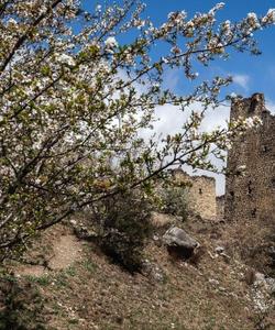 Башенный комплекс Эгикал