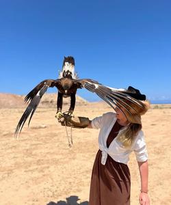 Буркут в Киргизии