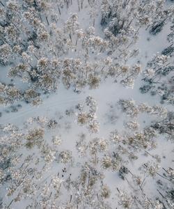 Национальный парк Марий Чодра