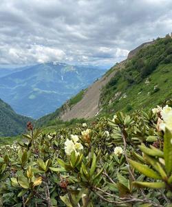 Тур на Красную Поляну