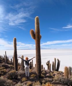 Плато Альтиплано