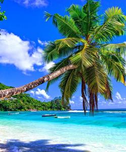 Мадагаскар