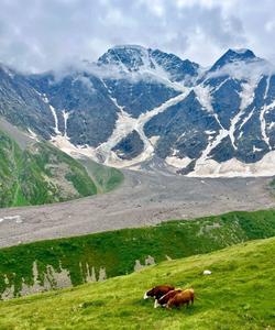Горный пейзаж