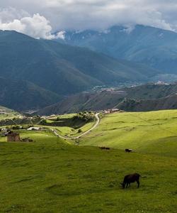 Тур в Ингушетию