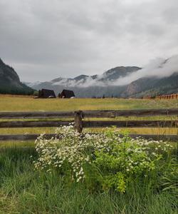 Ретрит на Алтай