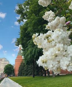 тур в Москву