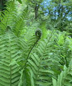 Сплав по реке Чусовой