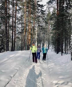 Лыжный поход в Марий Эл