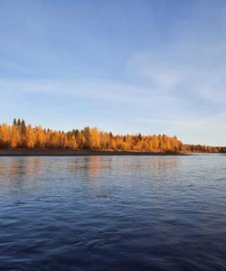 река Печора