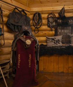 Алтайский этноаил