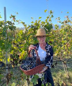 Виноград в Грузии