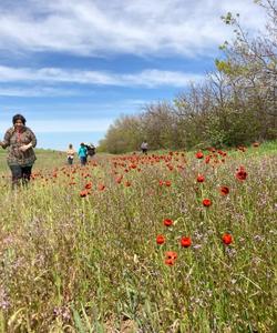 Цветение в степях Поволжья