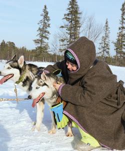 Хаски-парк «Лесная Елань»