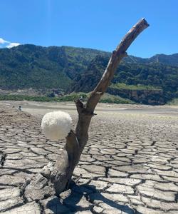 Тур в Дагестан