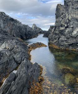 Тур на полуострова Средний и Рыбачий