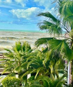 Черное море