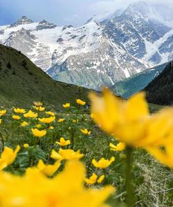 Треккинг в Приэльбрусье