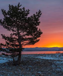 Местная природа