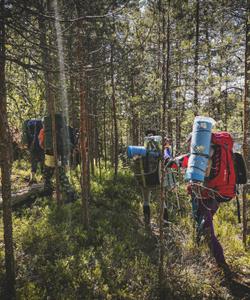 Треккинг в Карелии