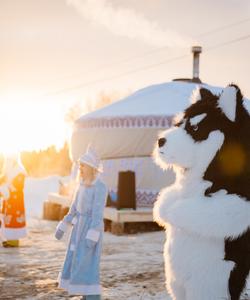 Питомник хаски