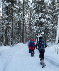 Зимний пейзаж