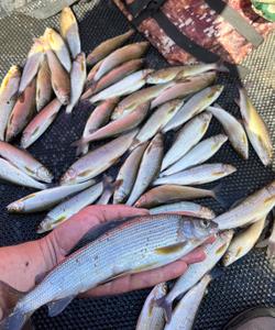 Рыбалка на сибирской реке