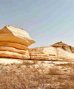 Узбекистан