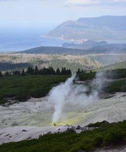 Фумарольное поле вулкана Менделеева