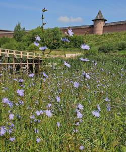 Тур по Золотому кольцу