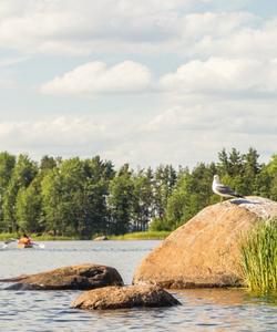 Ладожские шхеры