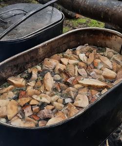 блюда на костре