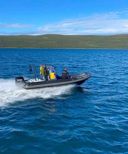 Морская прогулка, Баренцево море