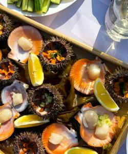 Морские деликатесы, Баренцево море