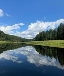 Сплав по реке