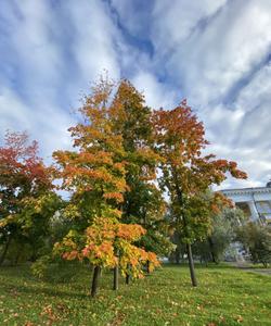 Петрозаводск