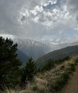 Местные пейзажи