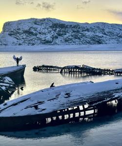 тур в Териберку