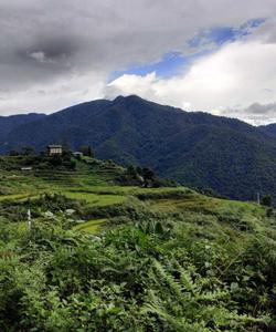 Местные пейзажи