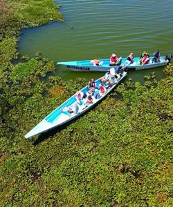 Прогулка по озеру Накуру