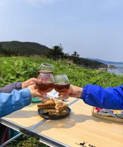 Экскурсия на мысы Птичий и Великан