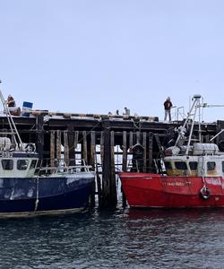 Мурманский порт