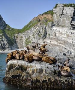 Местная природа