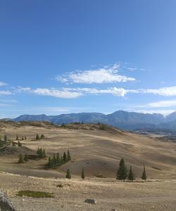 Джип-тур на Алтай